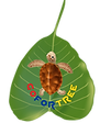 png-01_edited.png